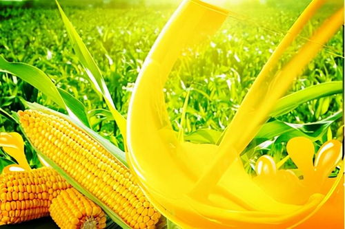 吉林食品工業公司股權轉讓及其對農副產品銷售的影響