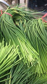 優質蒜薹低價熱銷，庫存清倉搶購中！