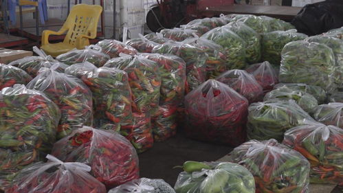 福州全力保供應(yīng)，拎穩(wěn)市民“菜籃子”