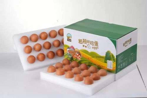 福建泉港優質農副產品熱銷中，歡迎選購