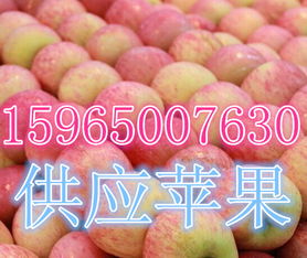 莒縣傲翔農(nóng)副產(chǎn)品購銷處 探索海量高清圖片庫，展現(xiàn)農(nóng)副產(chǎn)品的天然魅力