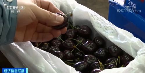 車厘子價格腰斬，榴蓮價格創(chuàng)新高 農(nóng)副產(chǎn)品市場波動解析