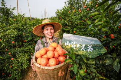 豐收節遇上抖音全域興趣電商 農副產品銷售的新藍海