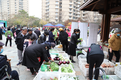 垃圾分類科普進社區，綠色生活與農副產品銷售同繪美好家園
