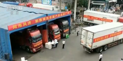 多措并舉拓銷路，湖北農副產品產銷兩旺譜新篇